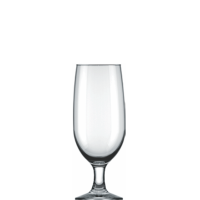 NADIR TAÇA FLORIPA CERVEJA 300ML C/12 7732